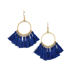 Tassel Drop Earrings product image