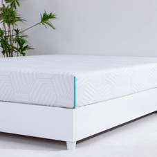 Essential Plus 8" Memory Foam Medium Plush Mattress in a Box product image