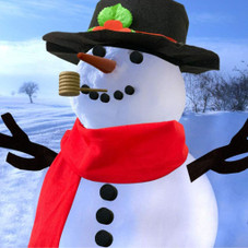 16-Piece Snowman Decorating Kit product image