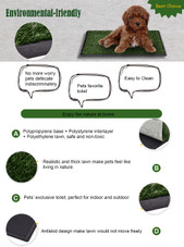 30" x 20" Indoor Pet Potty Training Grass Pad product image