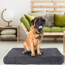 Cozy Pet Cushion product image