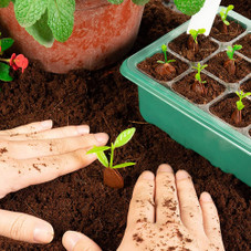 10-Piece Seed Starter Seedling Tray Kit product image