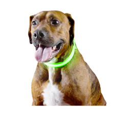 LED Safety Light-up Dog Collar product image