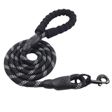 Reflective Dog Leash with Poop Bag Dispenser (1- or 2-Pack) product image