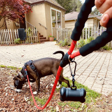 Reflective Dog Leash with Poop Bag Dispenser (1- or 2-Pack) product image