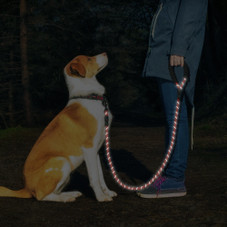 Reflective Dog Leash with Poop Bag Dispenser (1- or 2-Pack) product image