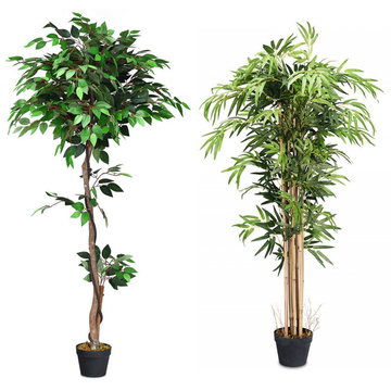 4 to 6-Foot Artificial Plants (4 Options) product image 4 to 6-Foot Artificial Plants (4 Options) product image