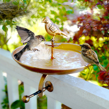 Interchangeable Bronze Butterfly & Bird Bath (1 or 2-Pack) product image