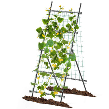 74" Garden Cucumber Trellis for Plant Climbing  product image