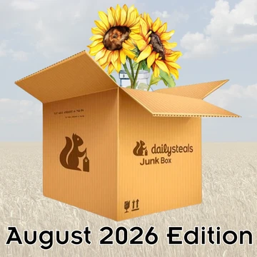 Daily Steals Junk Box - August 2026 Edition! product image