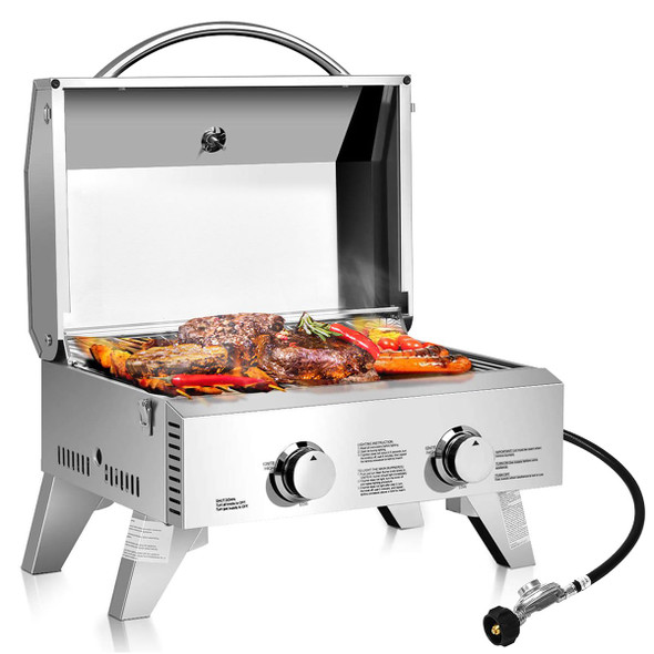 2-Burner Portable Tabletop Propane Grill in Stainless Steel product image
