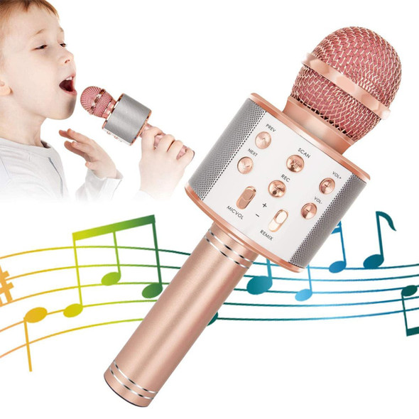 Wireless Bluetooth Kids Karaoke Microphone, 5 in 1 Portable Handheld Microphone with Adjustable Remix FM Radio for Boys Girls Birthday (Rose Gold) product image