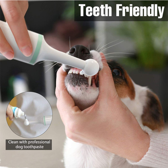 Electric Dog Toothbrush Tartar Cleaner Calculus Plaque Pet Teeth Cleaner with 4 Brush Heads for Puppy Dog Cat Cleaning product image