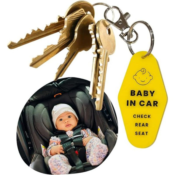 Safe 'Baby in Car' Reminder Keychain (2-Pack) product image