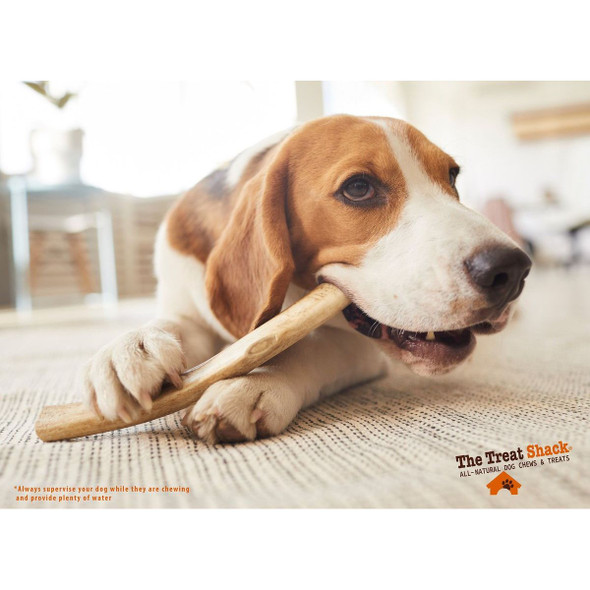 7-8"  Whole Naturally Shed Elk Antler Dog Treats product image