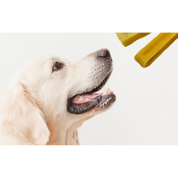 The Treat Shack Himalayan Yak Cheeses Dog Chew Treats, 5-6" (0.5 to 1-Pound) product image
