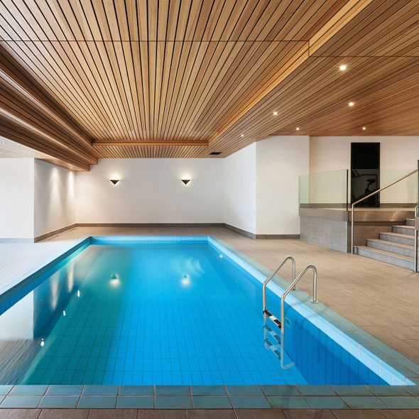 3-Step Stainless Steel Swimming Pool Ladder  product image