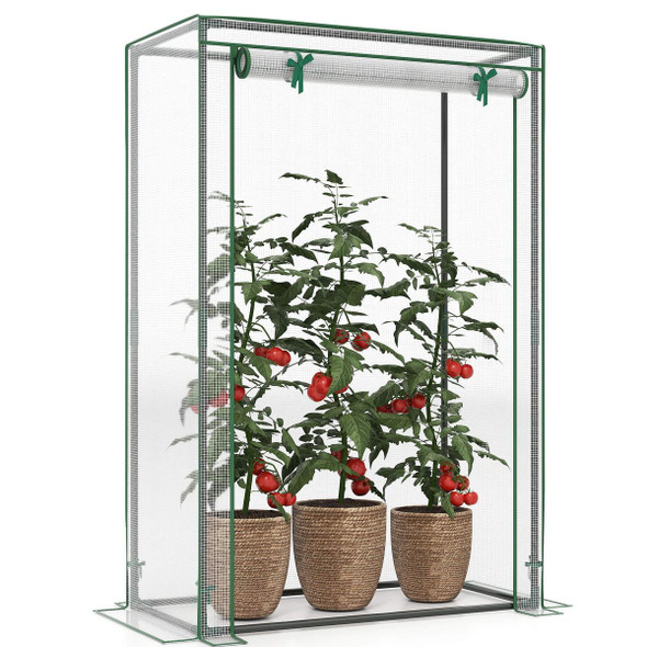 Portable Mini Greenhouse with Roll-up Door product image