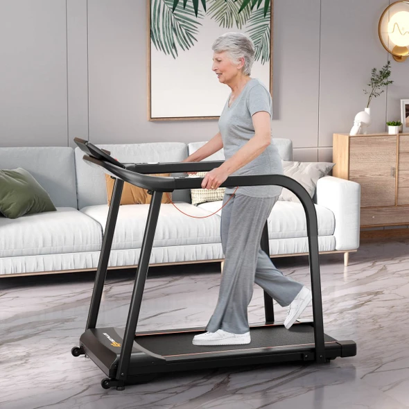 2.5 HP  Walking Treadmill with  Long Handrails product image