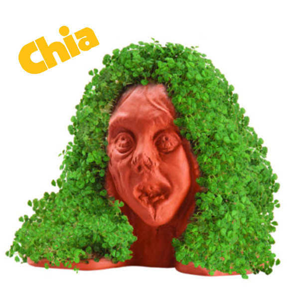 Chia Zombie Lifeless Lisa Handmade Decorative Planter product image