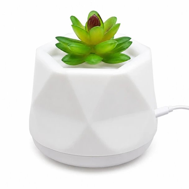 Water-Free Succulent Aroma Diffuser product image