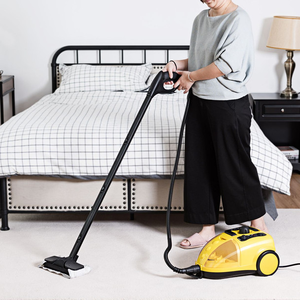 Professional Steam Cleaner  product image