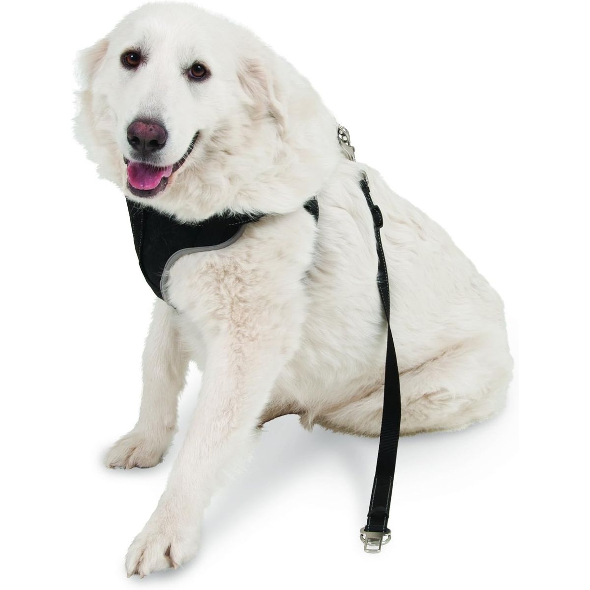 Petmate® Ultimate Travel Harnesses for Pets - Petmate 11479 The Ultimate Travel Harnes