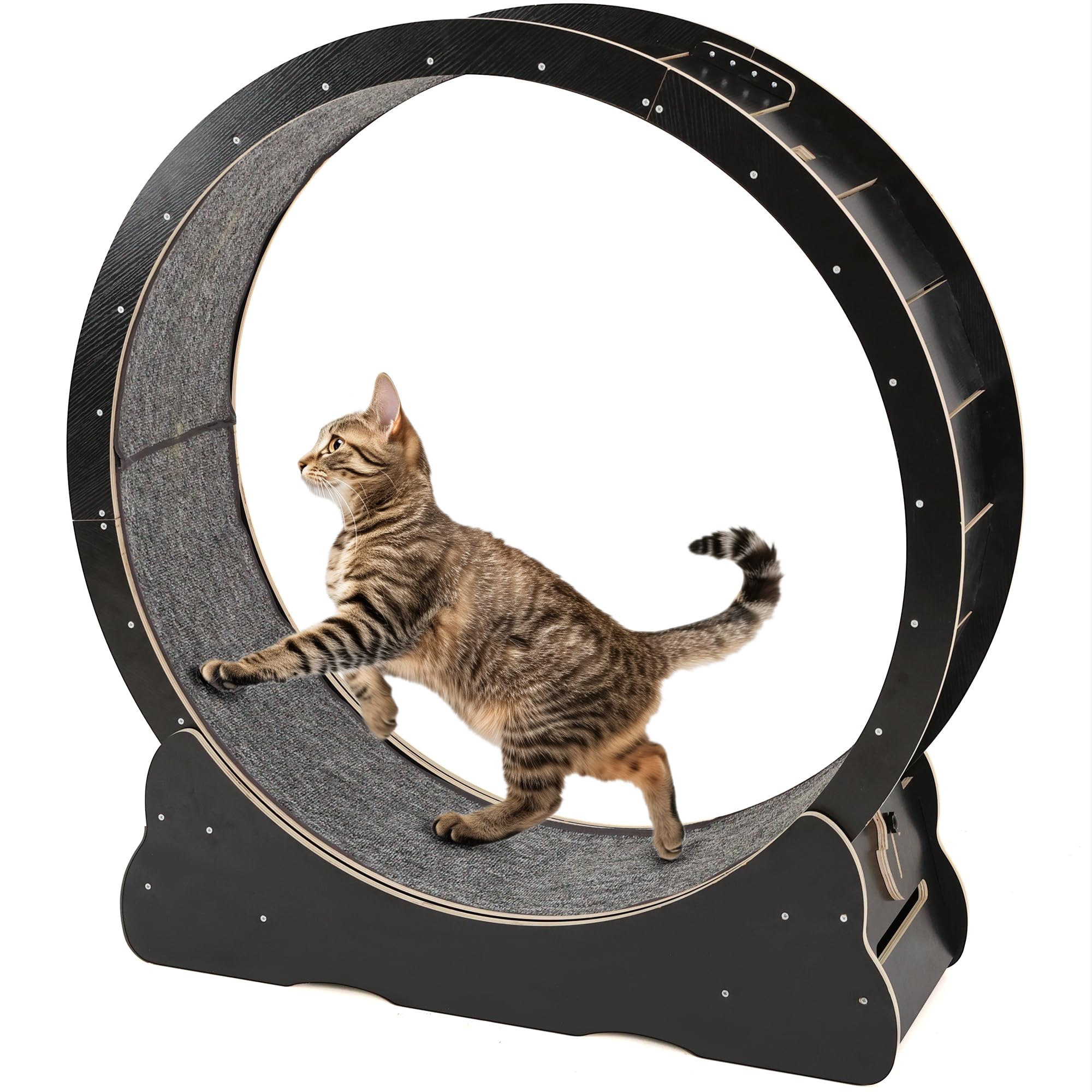 Cat Exercise Wheel, 43.3"" - Quiet & Durable - 12042BK-TM03