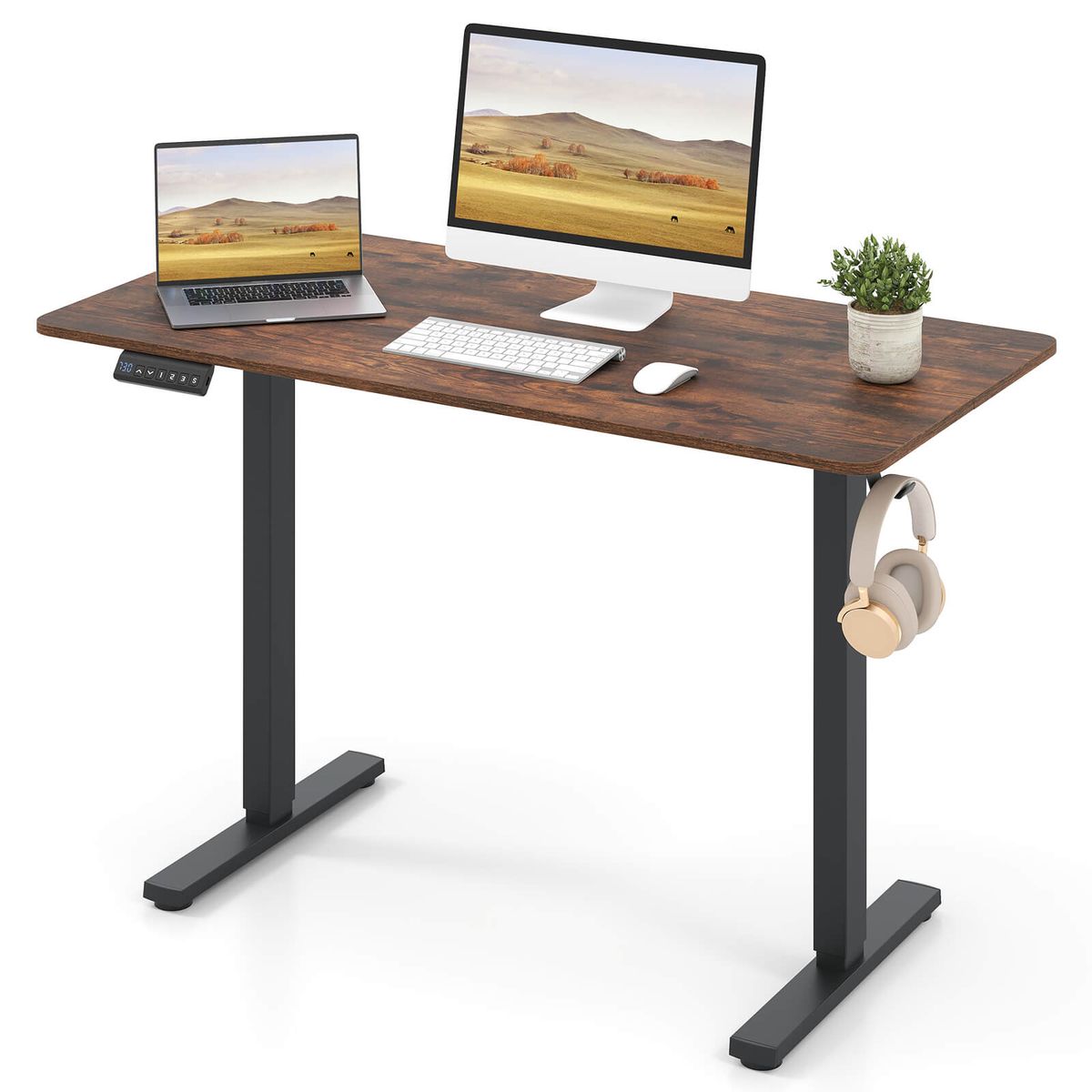 48" x 24" Sit-to-Stand Desk with 3 Memory Settings - Brown