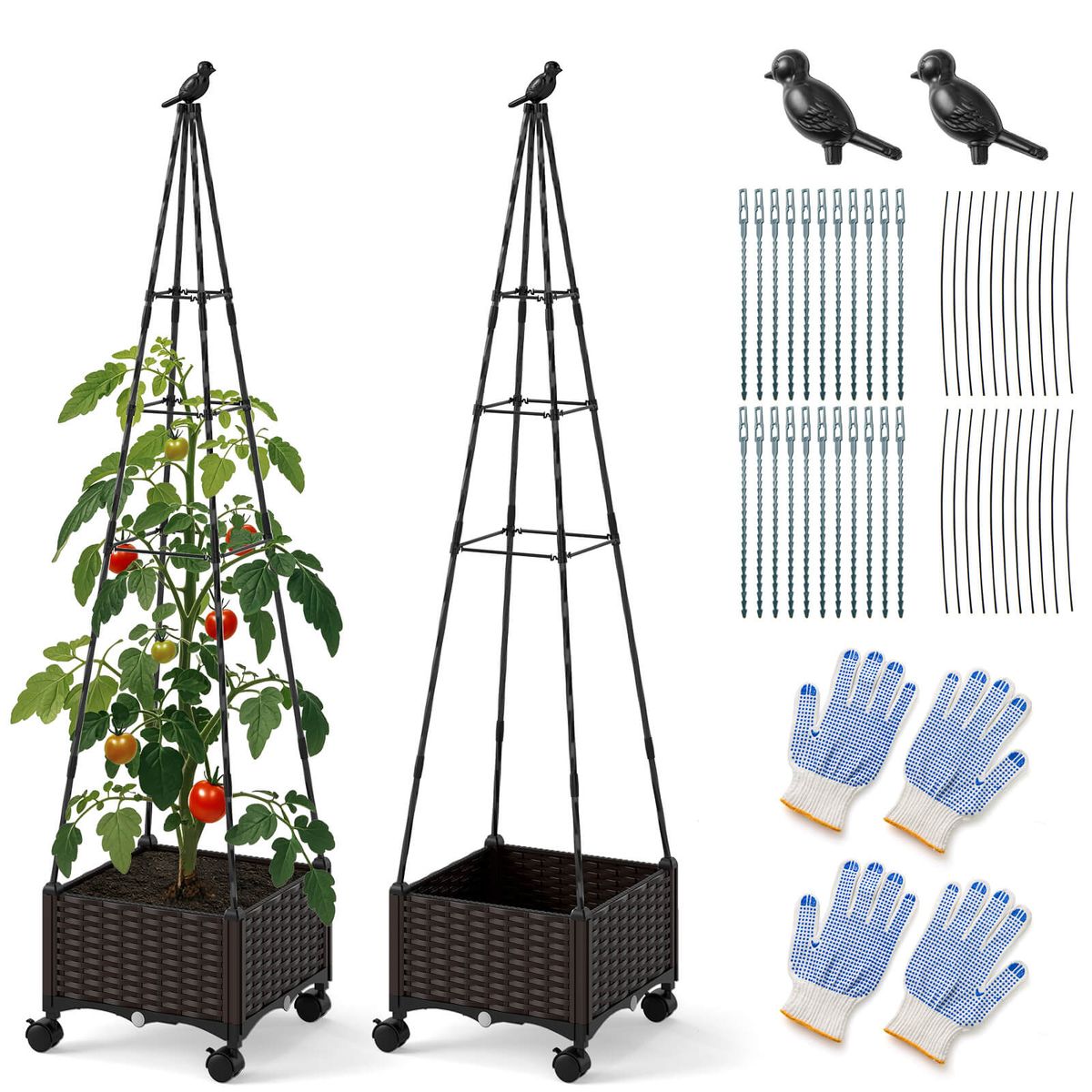 Raised Garden Bed with Plant Box and Obelisk Trellis - 2-Piece