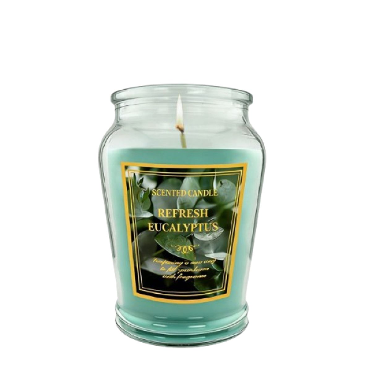 12oz Scented Candle in Glass Jar - Refresh Eucalyptus / 1-Pack
