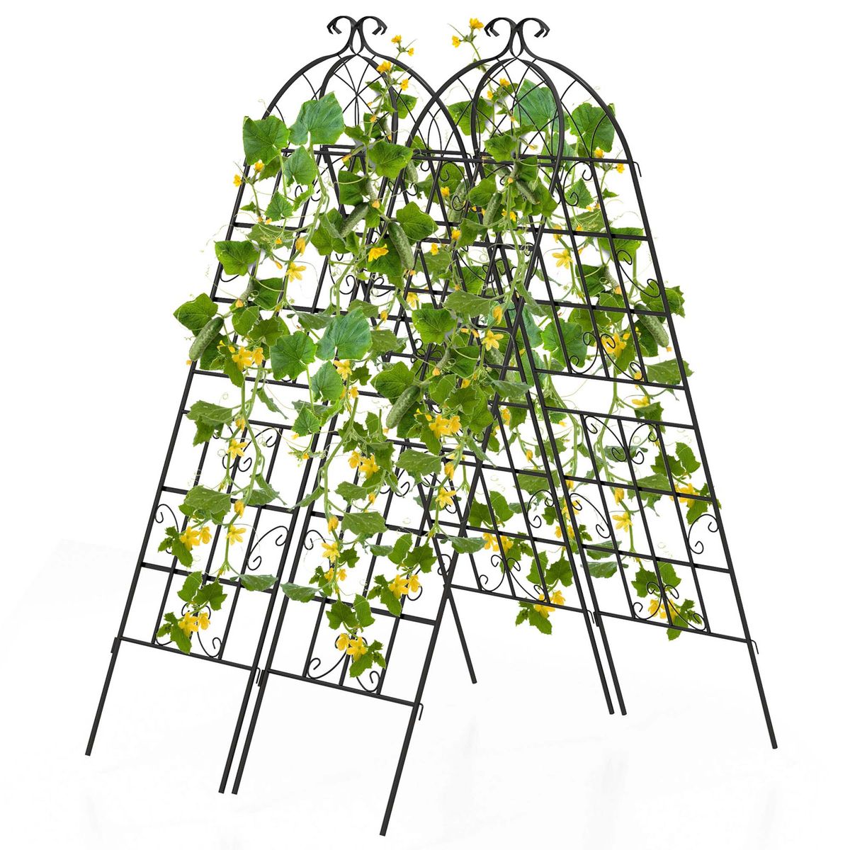 Metal Garden Trellis for Climbing Plants - 2-Pack