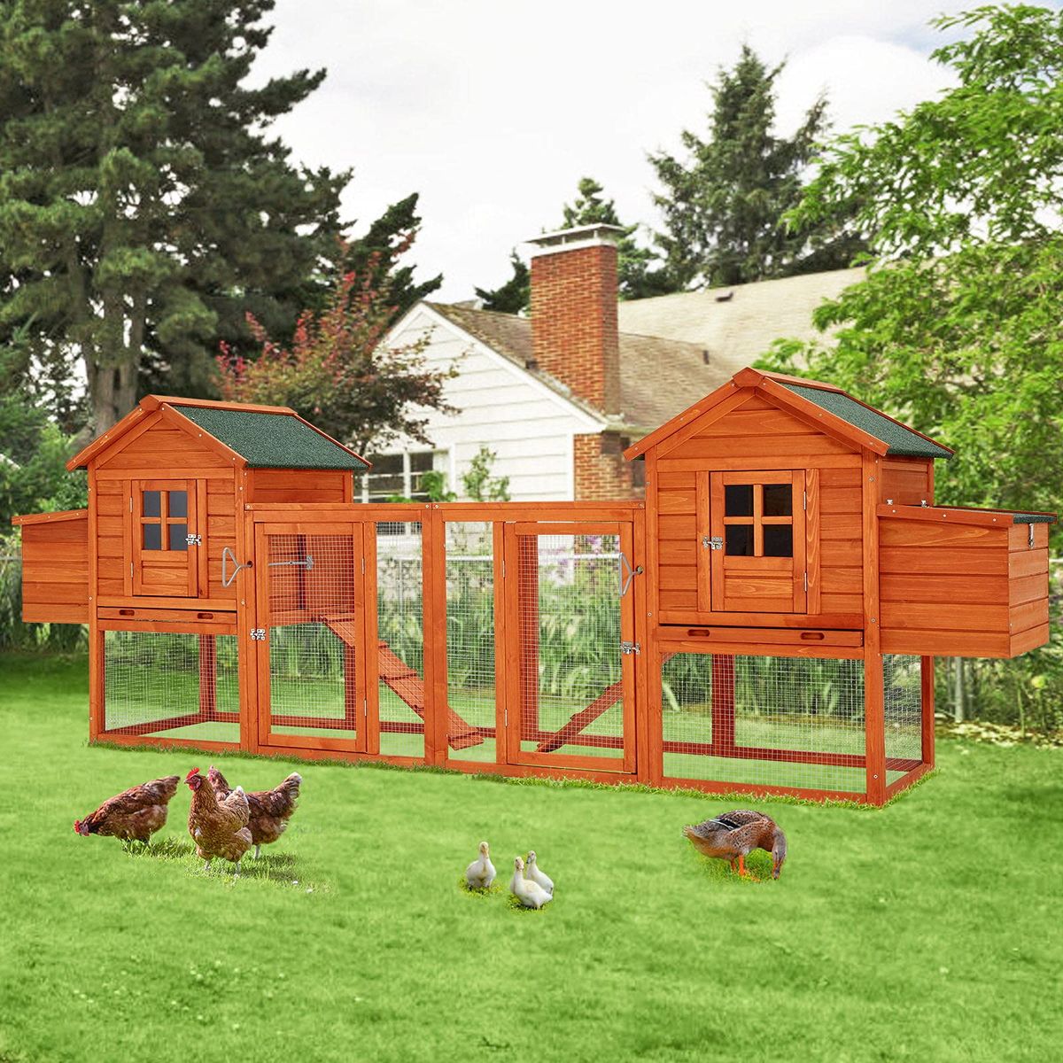 144” Large Wooden Chicken Coop with Ramps and Nesting Boxes - 12033BR-UG01