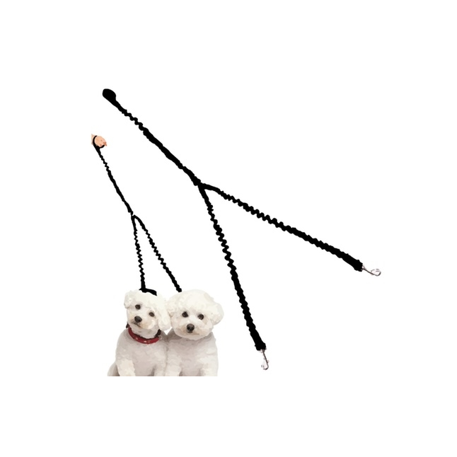 Waloo® Double Dog Bungee Walking Leash - Black