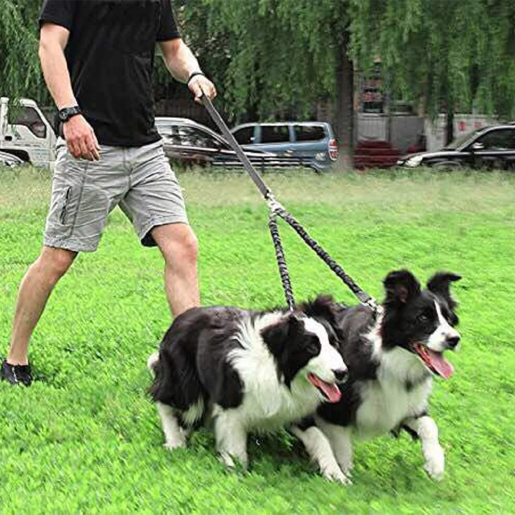 Waloo Pets Double Dog Bungee Dog Leash - Black