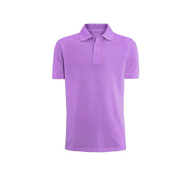 Men's Classic Fit Cotton Polo Shirt - Purple - Large