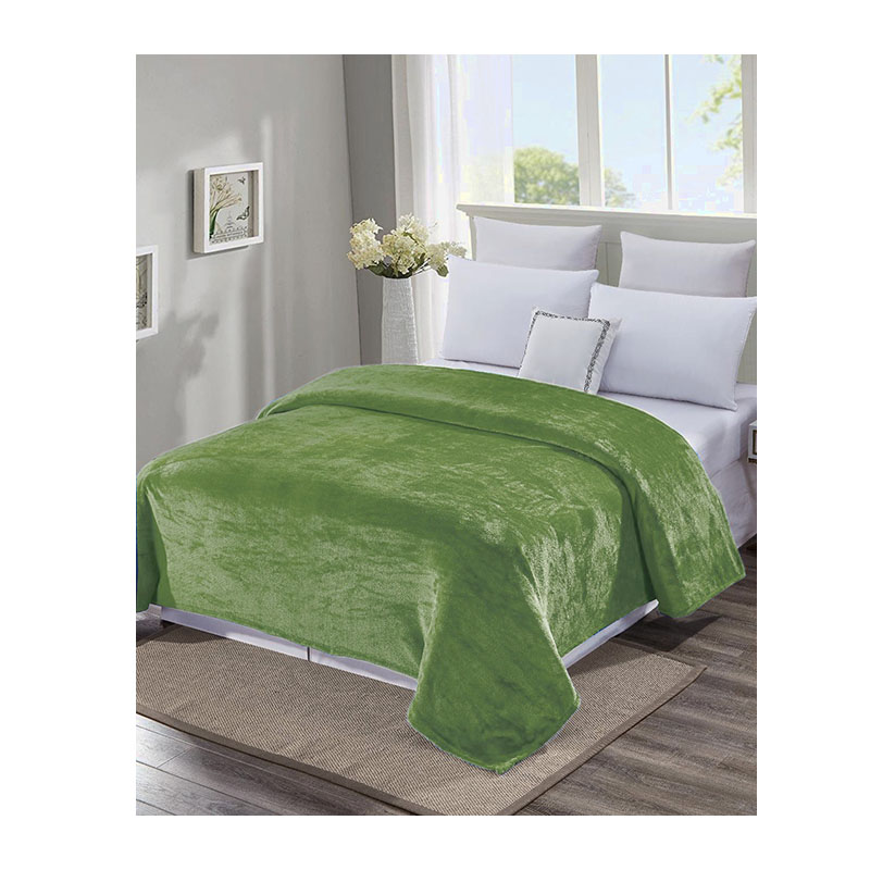 Noble House Extra Soft and Cozy Microplush Blanket - Queen - Green