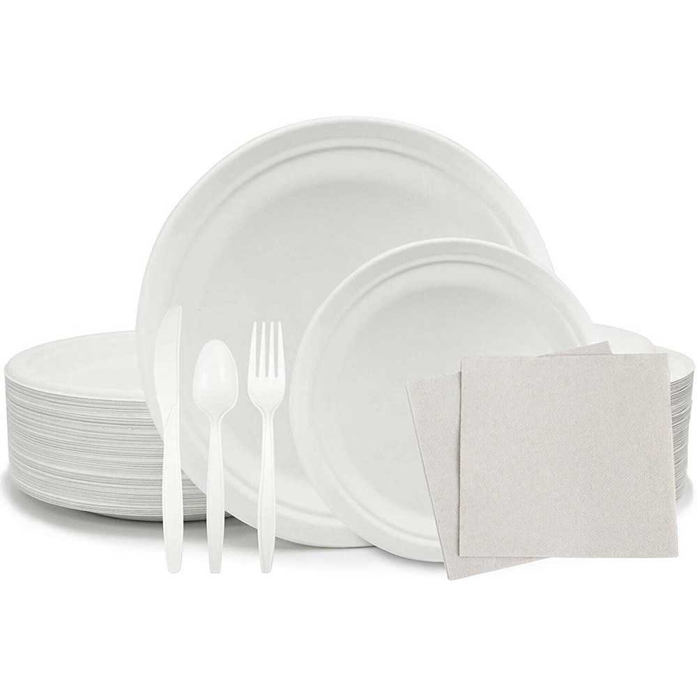 Kids' Birthday Theme Disposable Dinnerware Set - Eco-Friendly Set