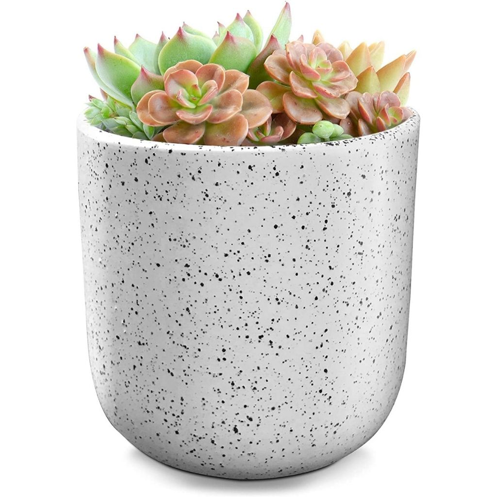 Indoor/Outdoor Speckled Ceramic Pot for Plants - 4.75'' - White