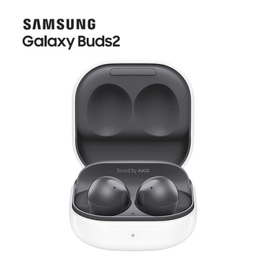 Samsung® Galaxy Buds2 True Wireless Earbud Headphones – Graphite