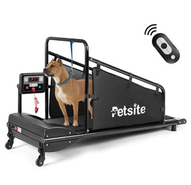 Petsite Indoor Pet Treadmill