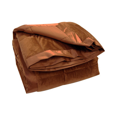 All-Season Oversized Microplush Reversible Down Alternative Blanket