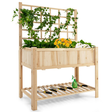 Raised Garden Bed with Trellis