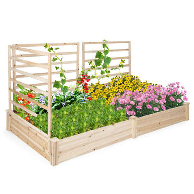 Raised Garden Bed with Trellis (Set of 2)