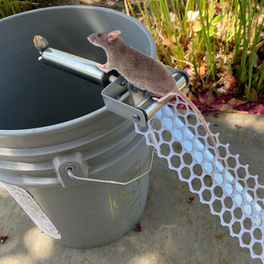 iMounTEK® Rolling Mouse Trap
