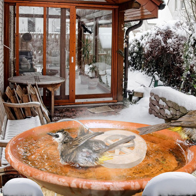 iMounTEK® 70W Automatic Bird Bath Heater