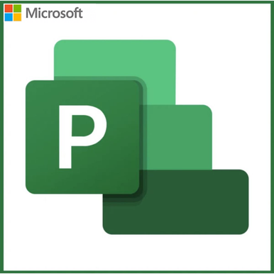 Microsoft Project Standard 2024 - 1 Device for Windows [Digital Delivery]