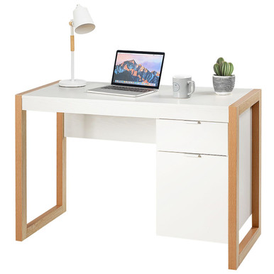 Computer Desk with Storage Cabinet