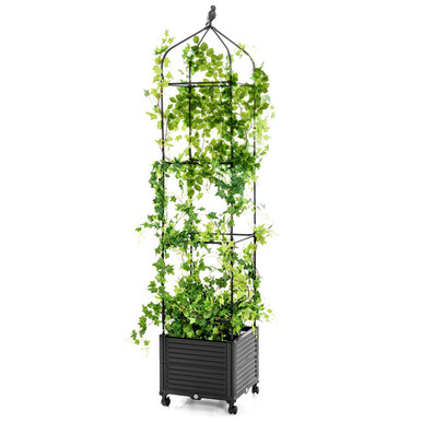 Indoor/Outdoor Raised Garden Bed with Trellis (1 or 2-Pack) - Raised Garden Bed-1