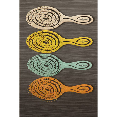 Chiara Ambra Spiral Detangling Hair Brush (4-Pack)